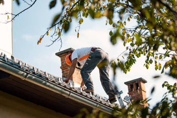 Best Roof Leak Repair  in Edgewood, IN