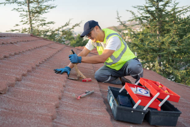 Best Metal Roofing Contractor  in Edgewood, IN
